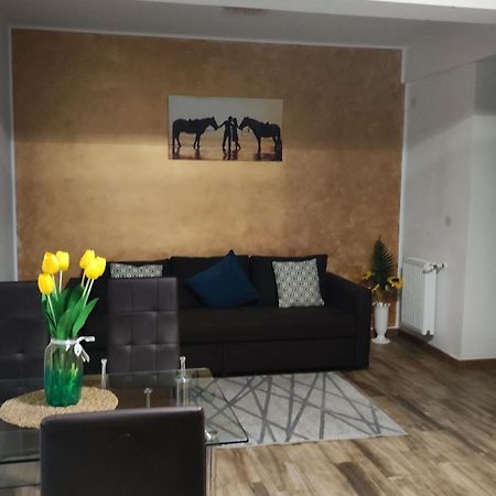 Apartament Lenus'K Apartment Bucureşti Ngoại thất bức ảnh