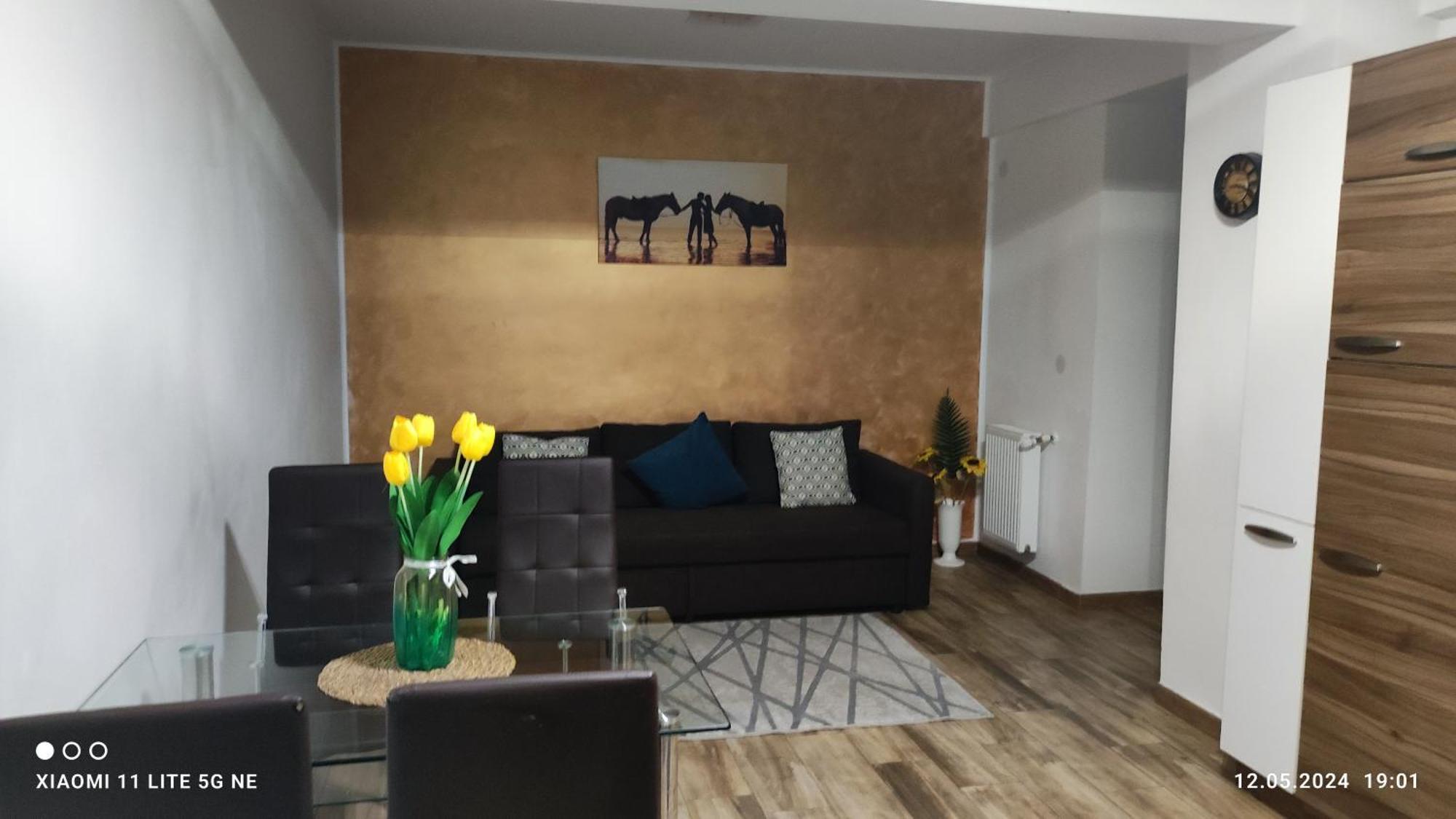 Apartament Lenus'K Apartment Bucureşti Ngoại thất bức ảnh